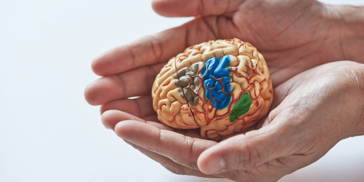 WHO IS THE REAL “HERO” OF STROKE CARE_