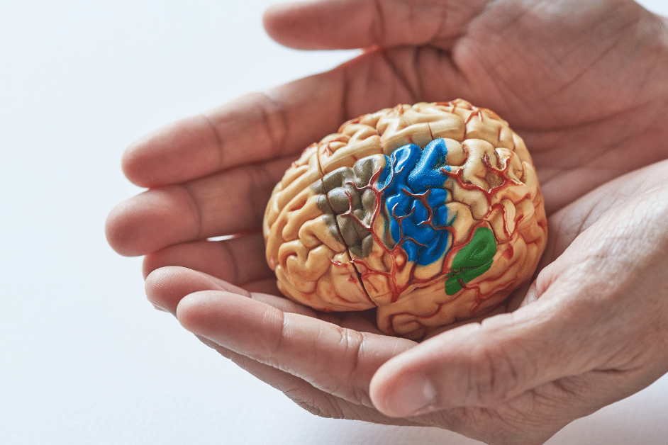 WHO IS THE REAL “HERO” OF STROKE CARE_