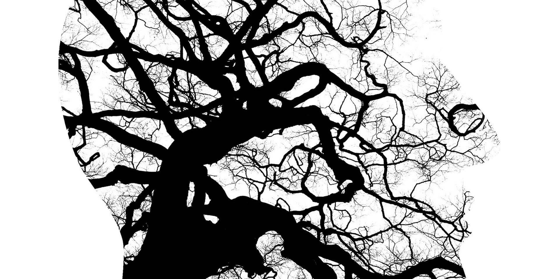 Demystifying Neurology: Learn About The Medical World