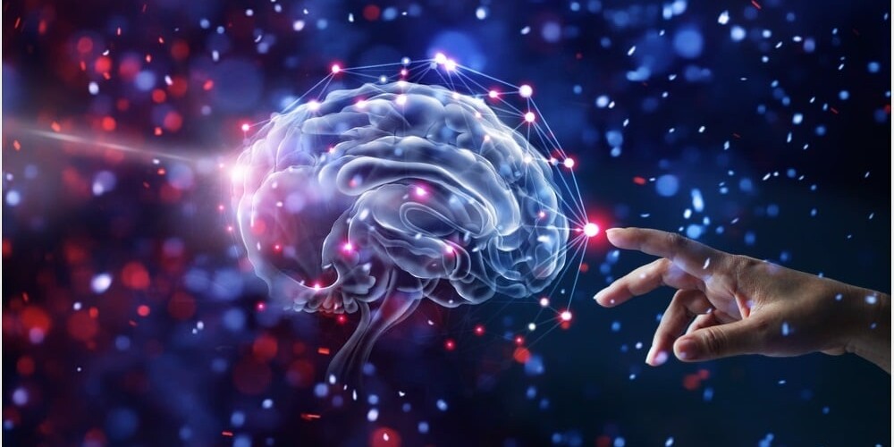 things that can damage your brain