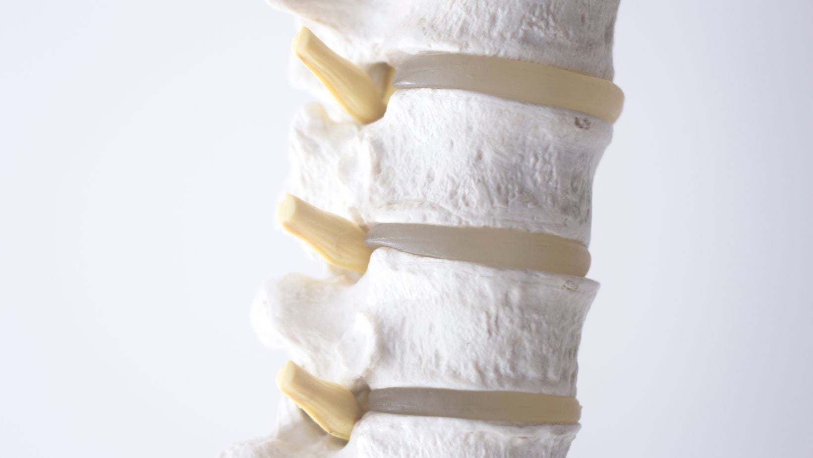 Brown Sequard Spinal Cord Injury Know More