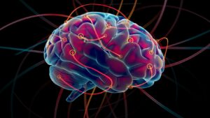 Alzheimer's Disease: A Guide for Everyone 5 The Brain's Changing Structure