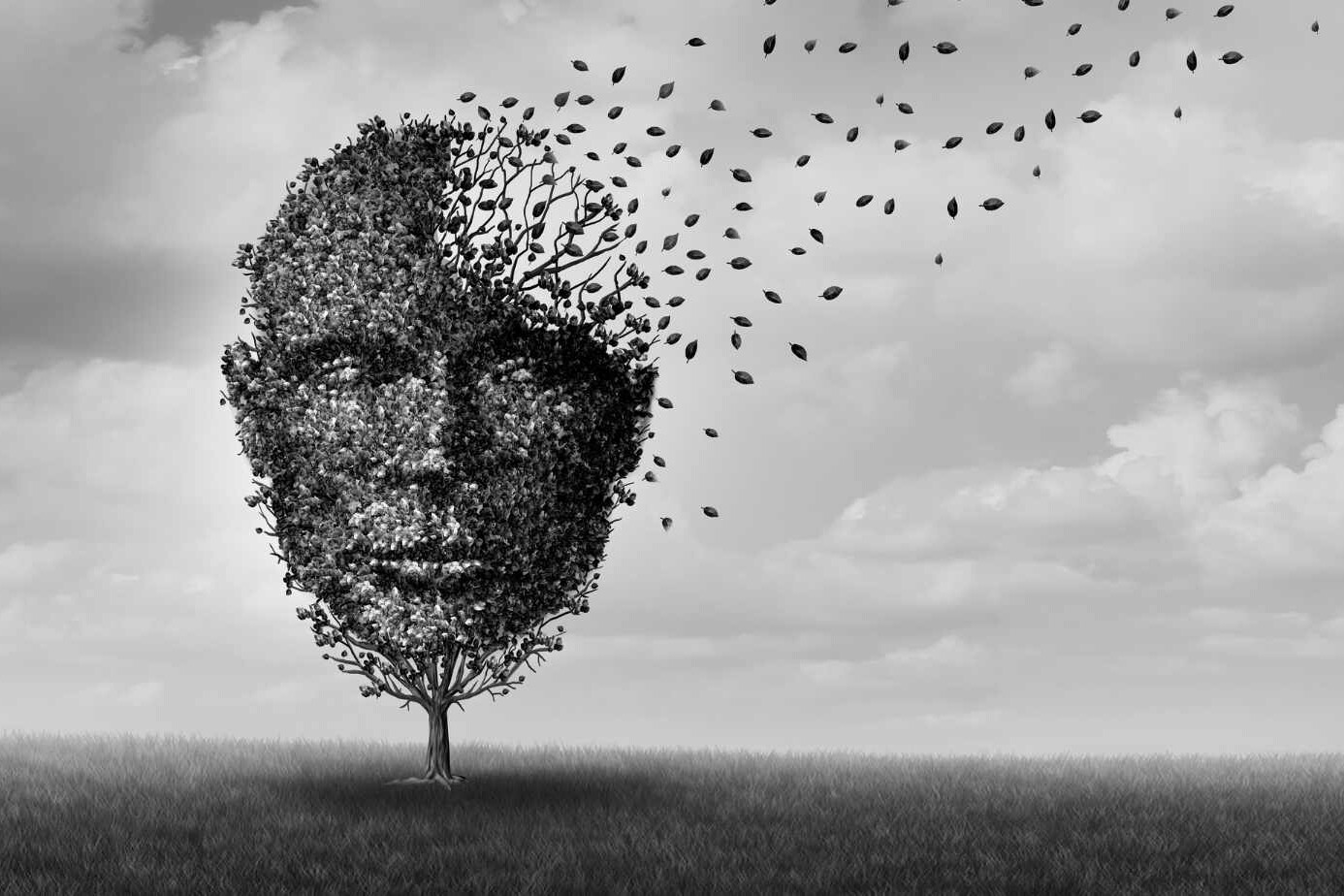 Chronic traumatic encephalopathy