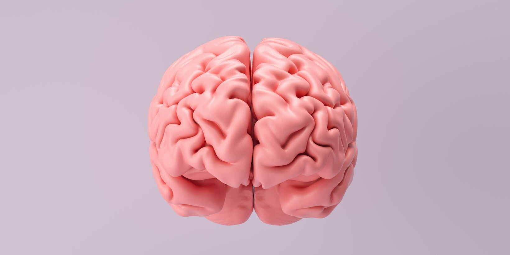 Creutzfeldt Jakob Disease Symptoms