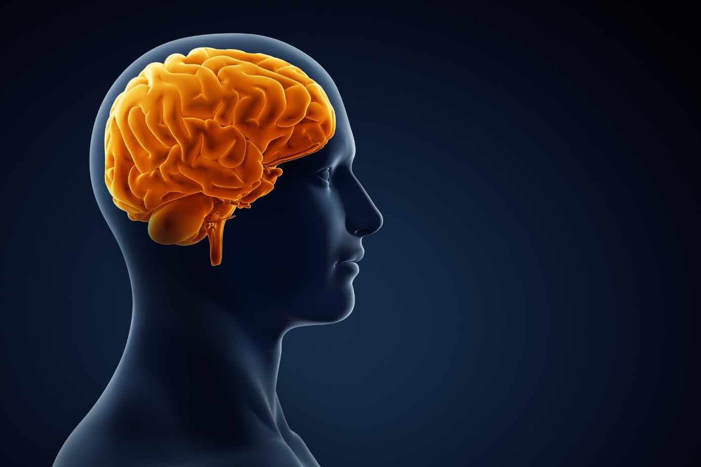 Exploring Encephalopathy Causes: A Comprehensive Guide