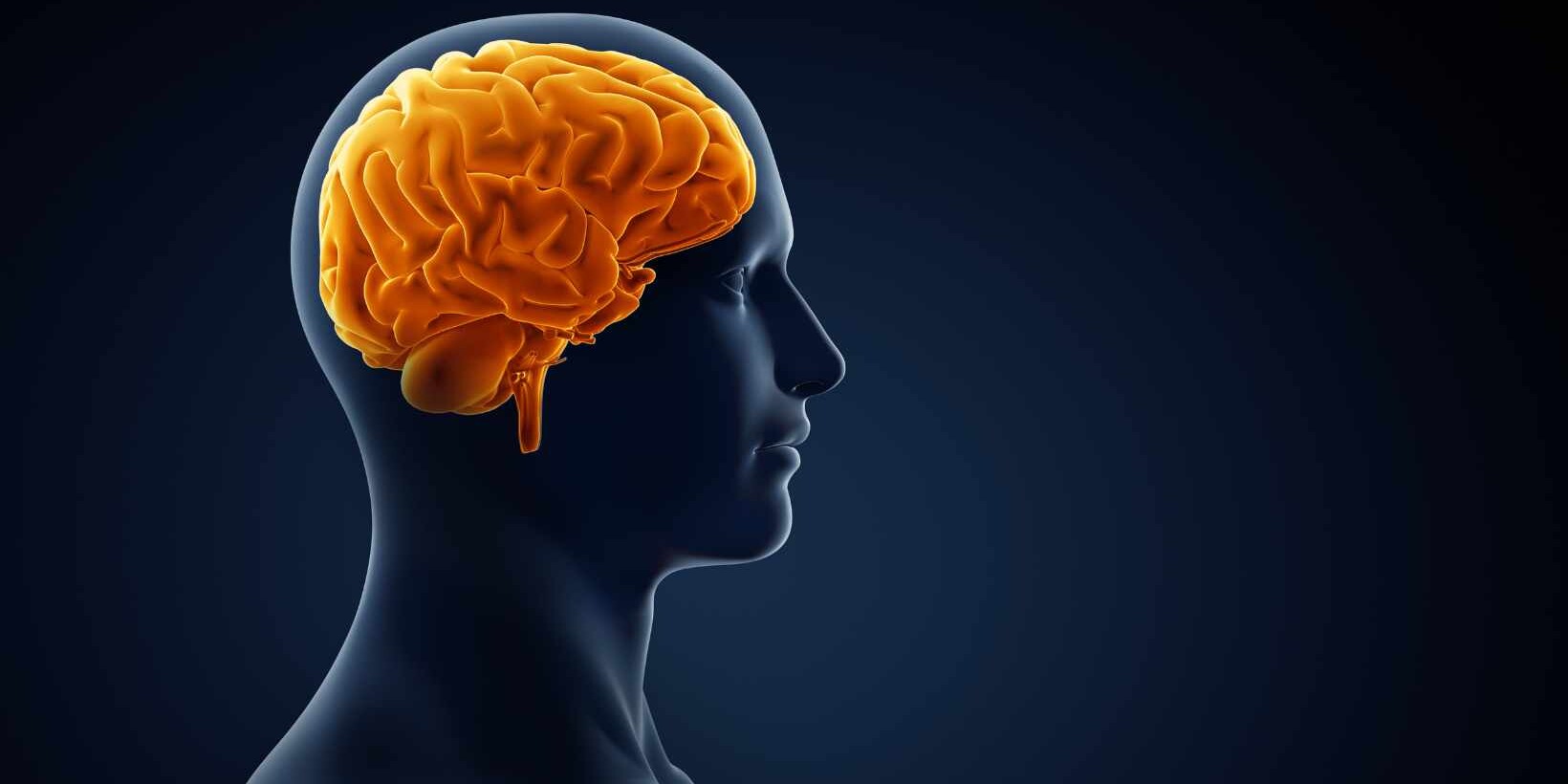Exploring Encephalopathy Causes: A Comprehensive Guide