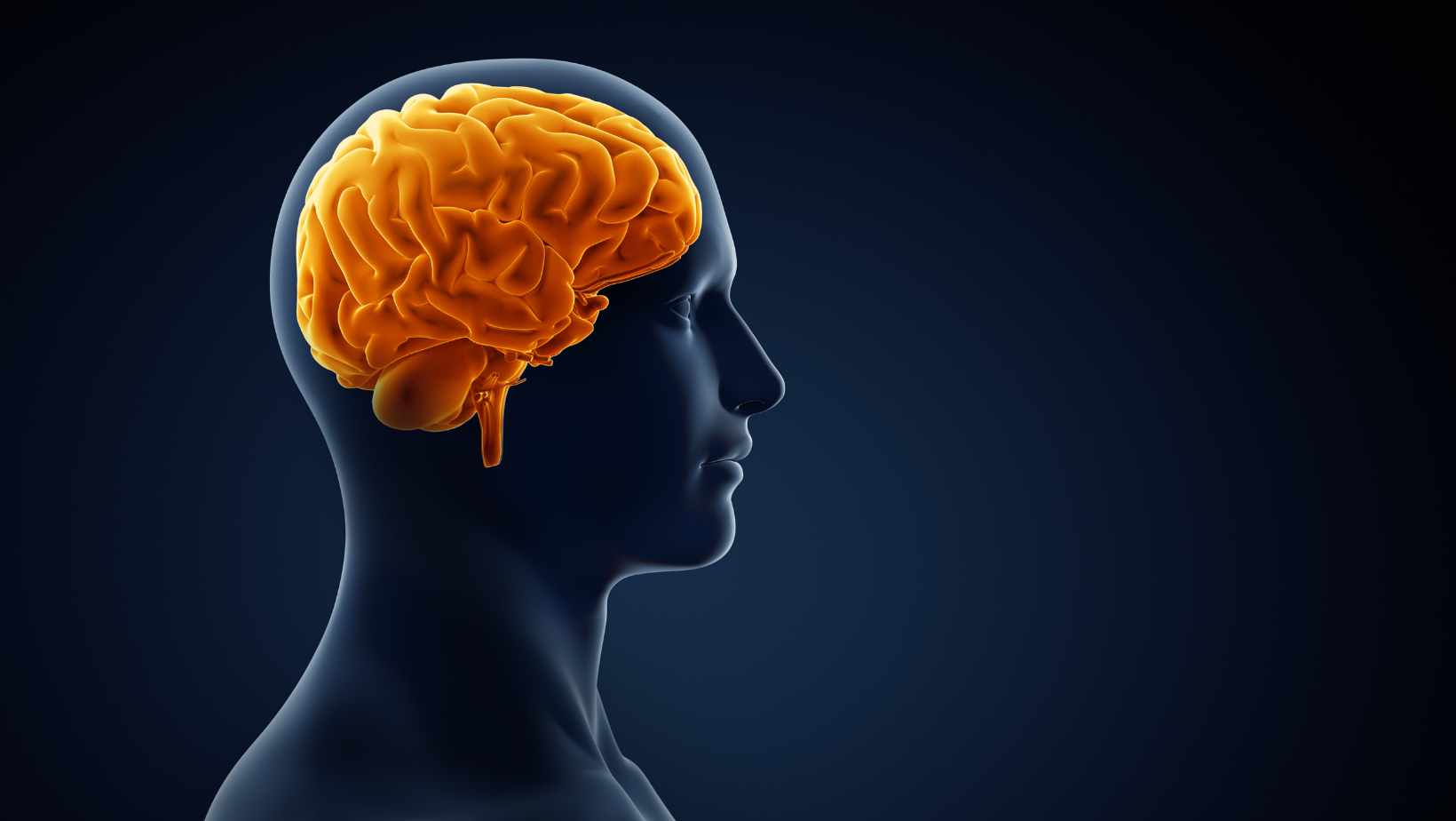 Exploring Encephalopathy Causes: A Comprehensive Guide