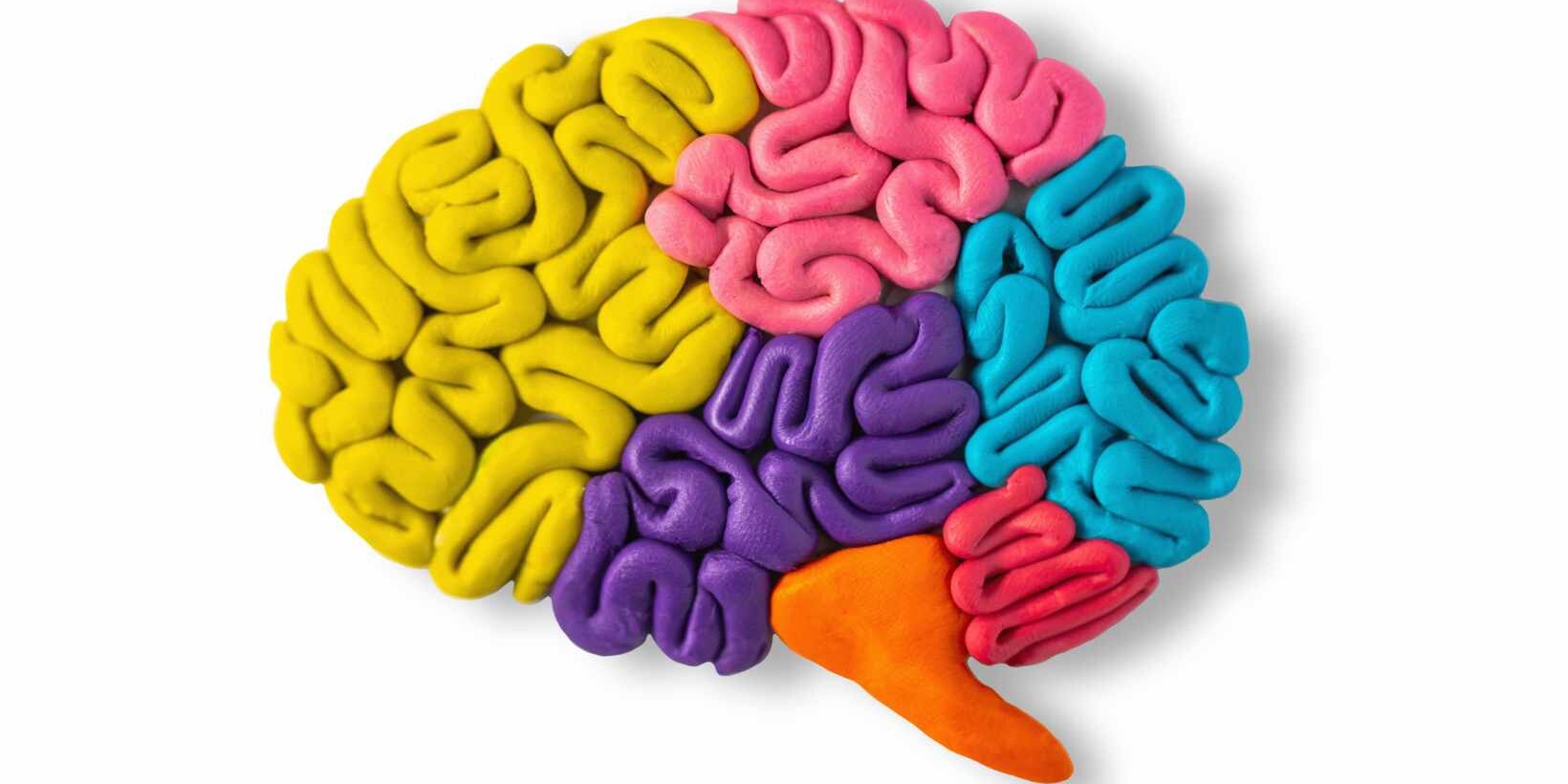 Understanding Encephalitis Symptoms: What to Look For