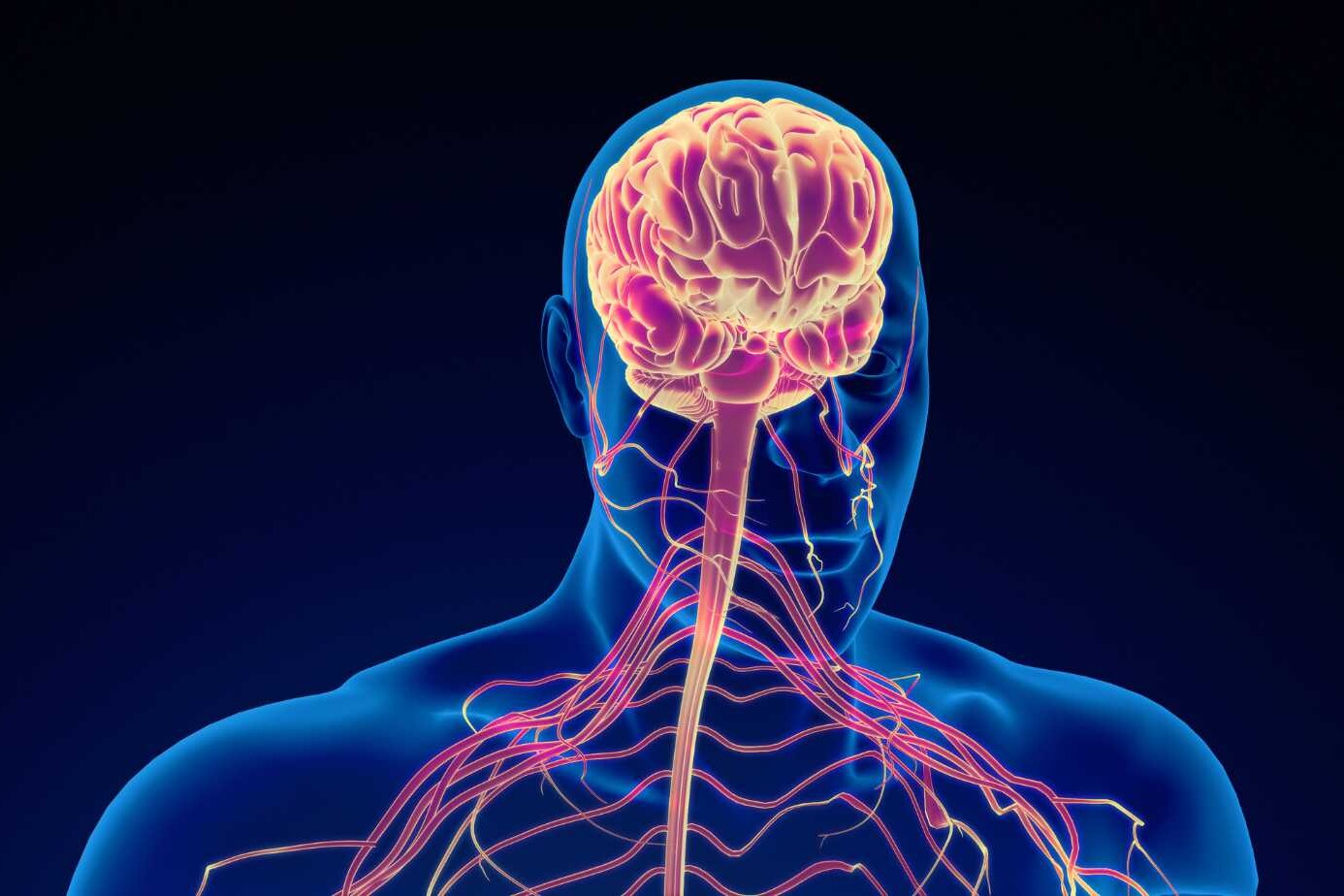 Understanding Machado Joseph Disease Symptoms and Management