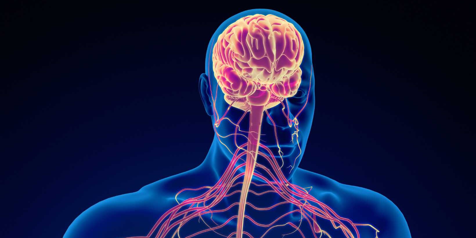 Understanding Machado Joseph Disease Symptoms and Management
