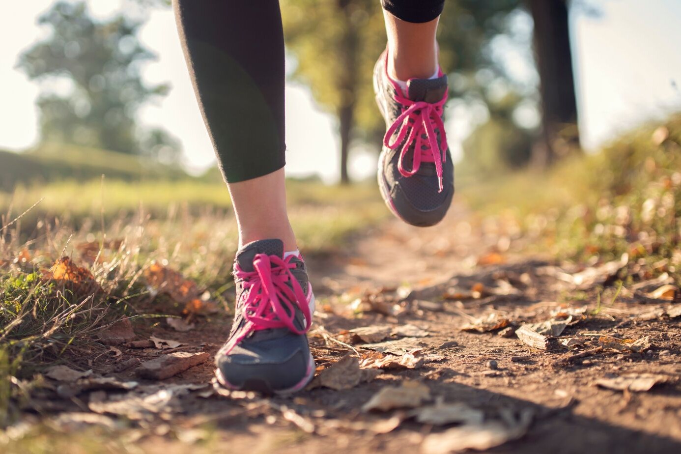 What is Myoclonus? A Comprehensive Guide 6 What is Myoclonus A Comprehensive Guide