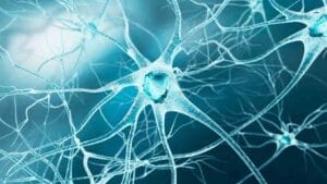 How to Prevent Nerve Damage Through Diet and Exercise 8 How to Repair Damaged Nerves Naturally