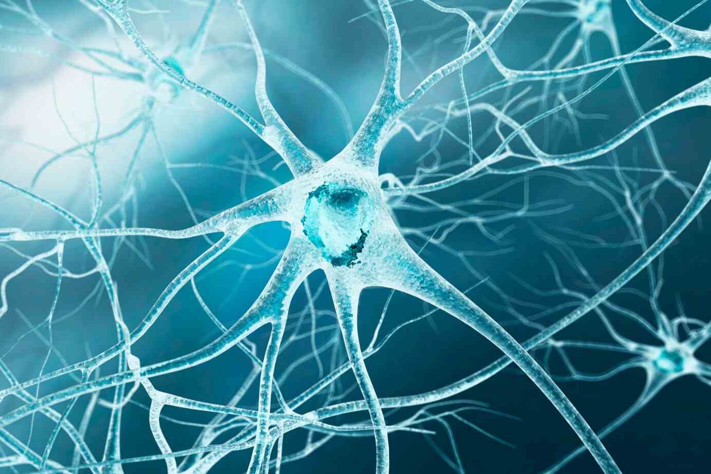How to Repair Damaged Nerves Naturally