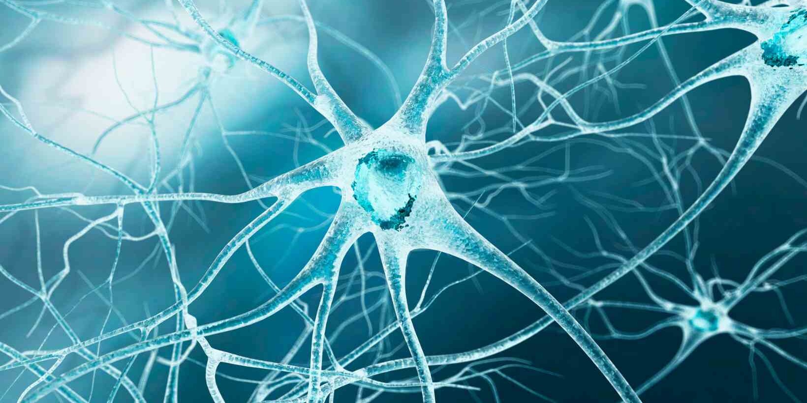 How to Repair Damaged Nerves Naturally