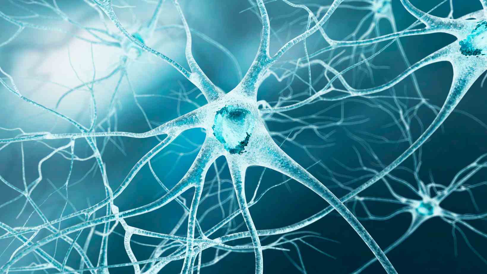 Mind-Body Techniques for Nerve Healing: Stress Reduction & More 73 How to Repair Damaged Nerves Naturally