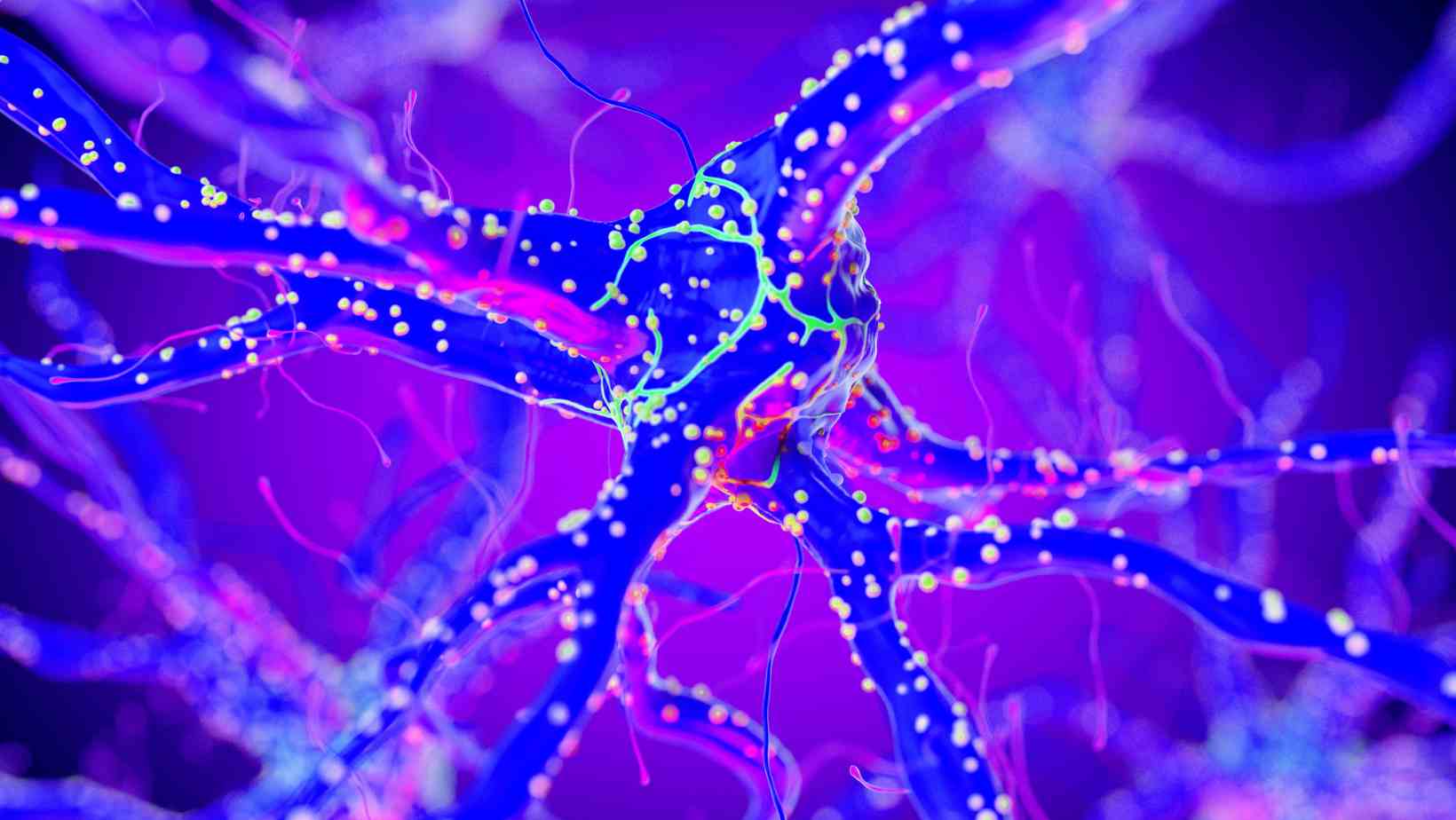 Nerve Growth Factor: The Key to Healing Damaged Nerves? 59 Nerve Growth Factor