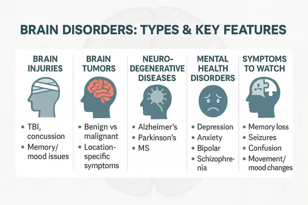 Brain Disorders: Causes, Types, Risks, and Outlook 3 brain_diseases
