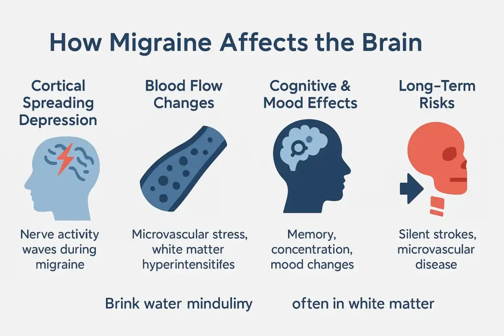 Migraine and Brain Lesions 4 what_causes_migraines