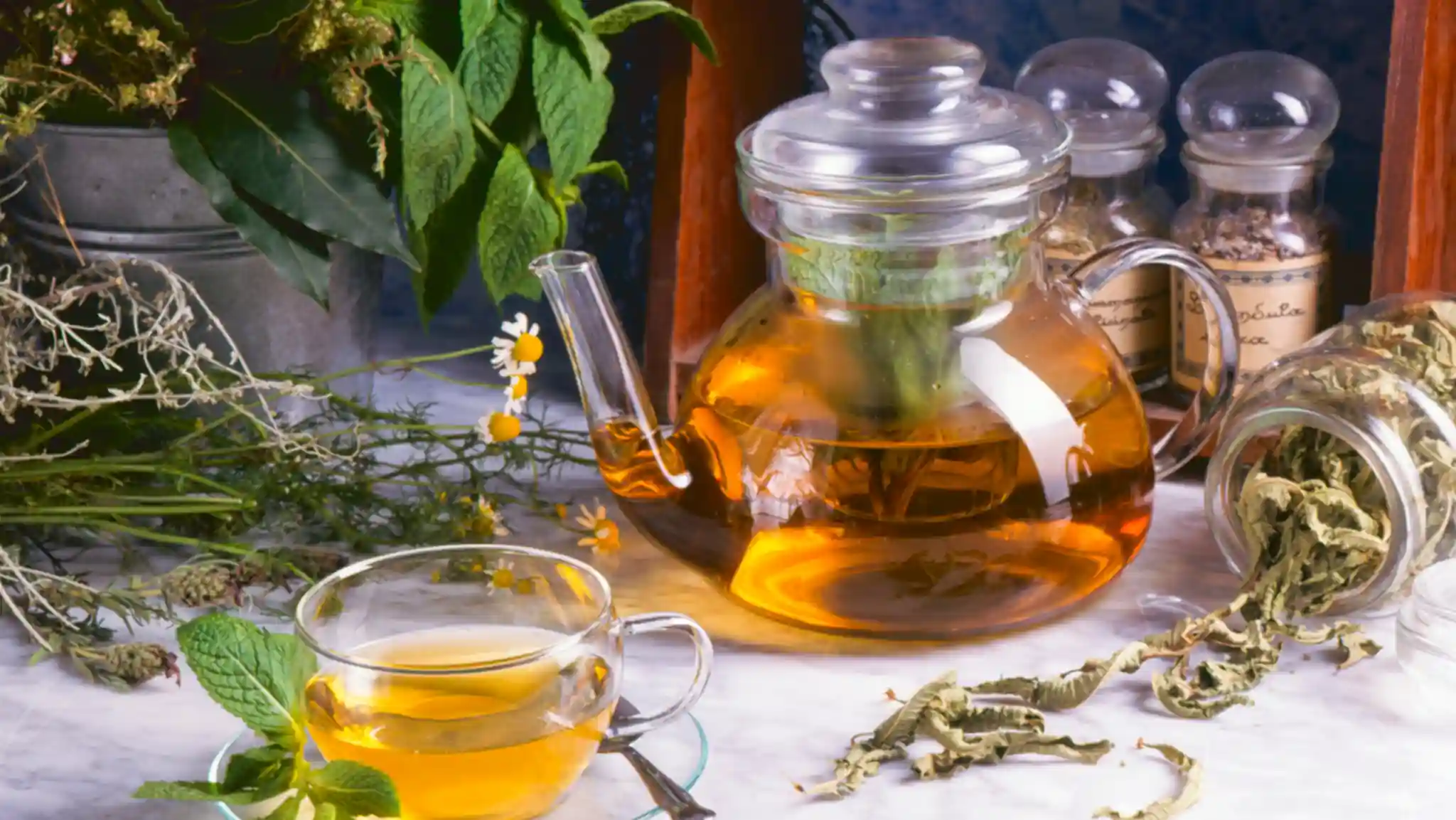 alternative therapies for epilepsy​