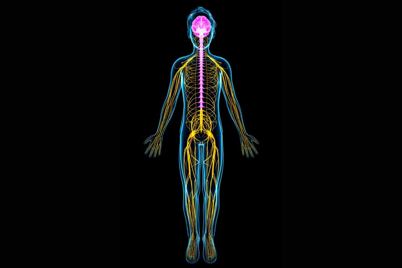 Autonomic Nervous System Dysfunction