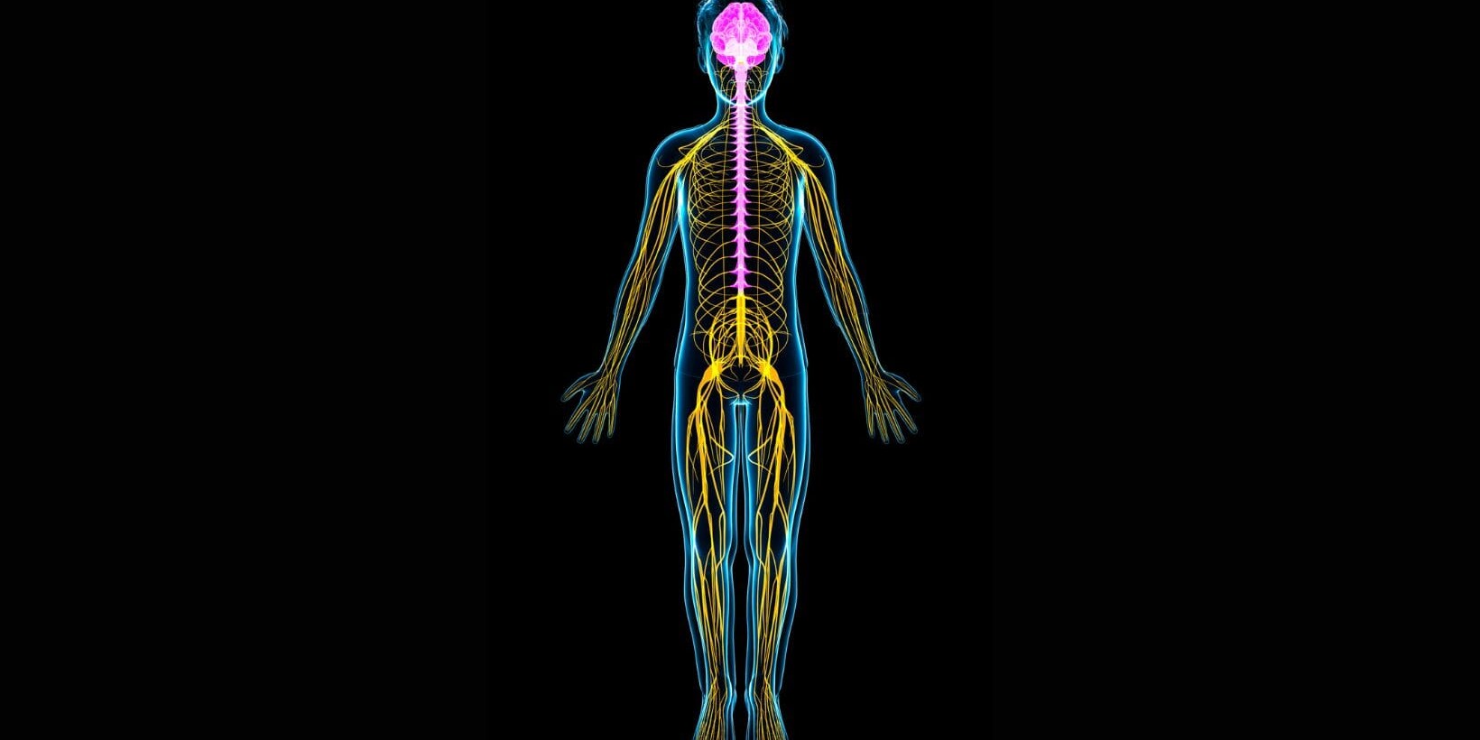 Autonomic Nervous System Dysfunction