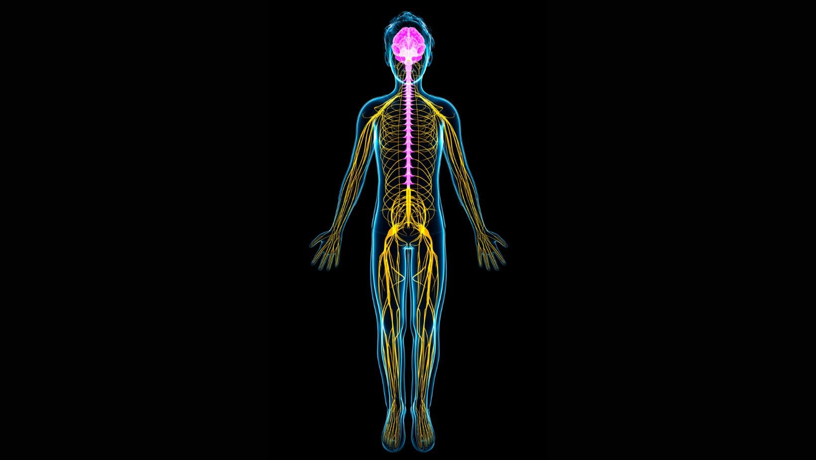 Autonomic Nervous System Dysfunction
